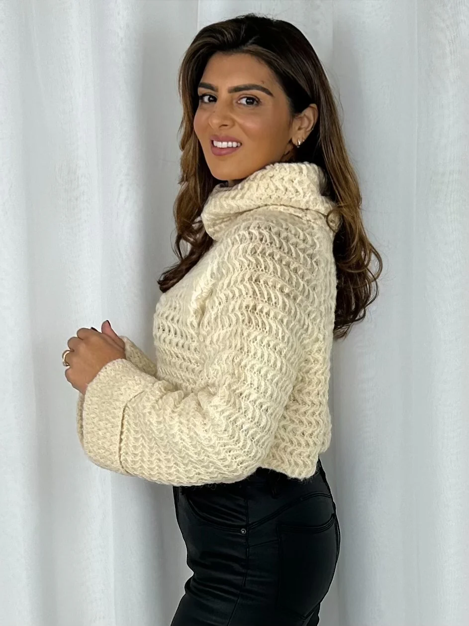 Roll Neck Knitted Cropped Jumper (4 Colours) - Image 8