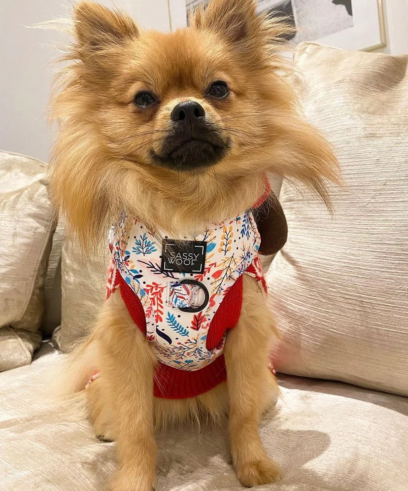 strawberry dream Harness - Image 7